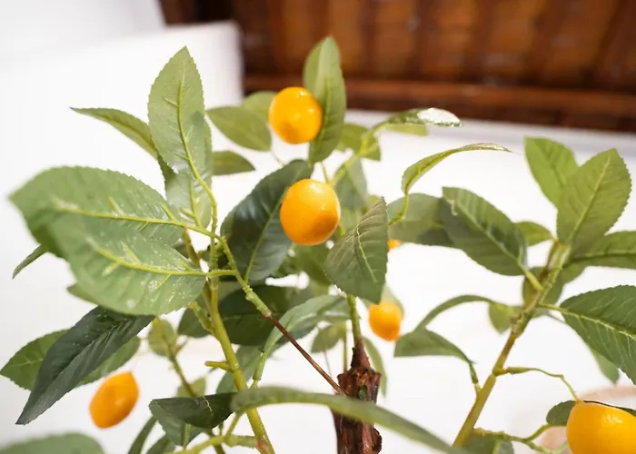 Pinedo Playa Rustico Apartamento Valencia